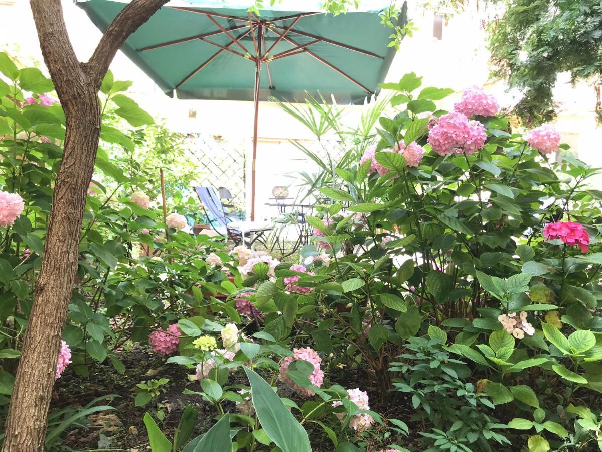 Cynthia'S Garden - Apartment With Private Garden In Santa Croce 佛罗伦萨 外观 照片