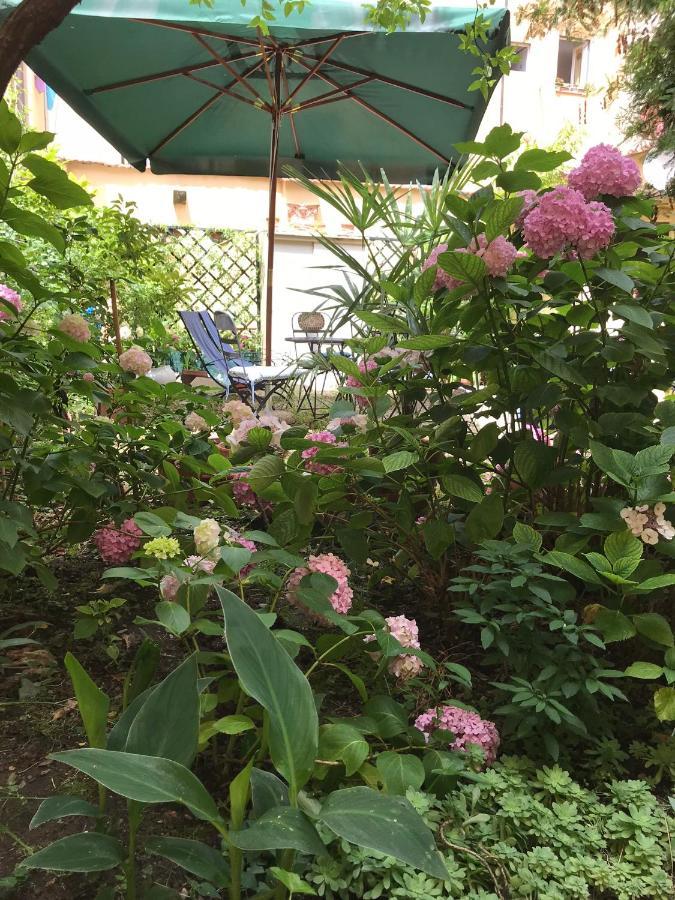 Cynthia'S Garden - Apartment With Private Garden In Santa Croce 佛罗伦萨 外观 照片